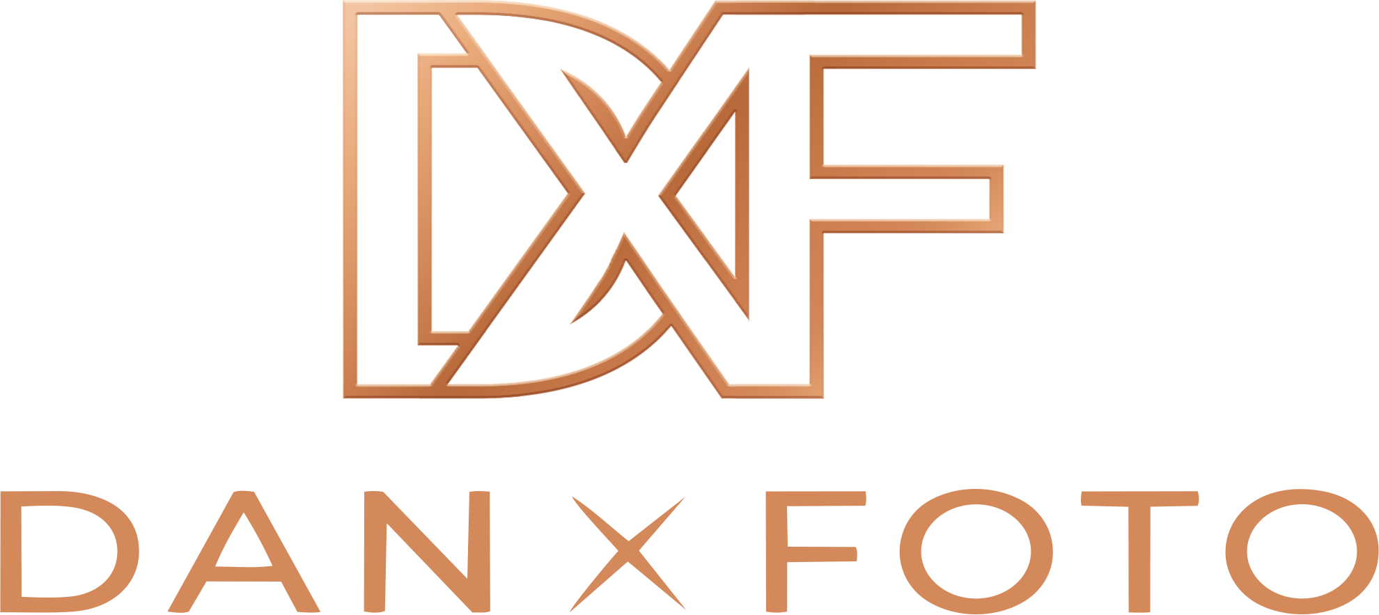 DanXFoto logo